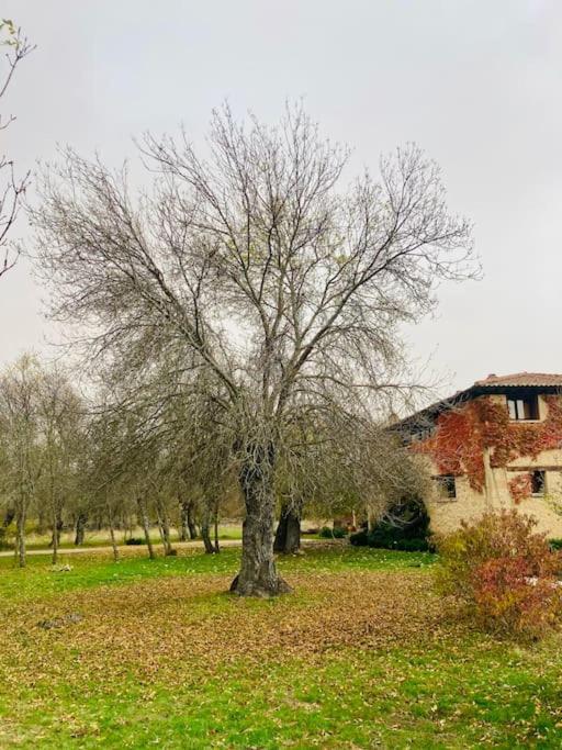Casa Rural La Fresneda De Tenzuela Segovia Exterior photo
